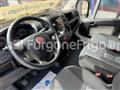 FIAT DUCATO Coibentato Isotermico Frigorifero