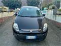 FIAT PUNTO 1.2 5 porte S&S Dynamic