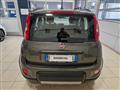 FIAT PANDA 3ª serie 1.0 FireFly S&S Mild - Hybrid City Life