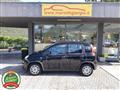 FIAT PANDA 1.0 FireFly S&S Hybrid Ok NEOPATENTATI