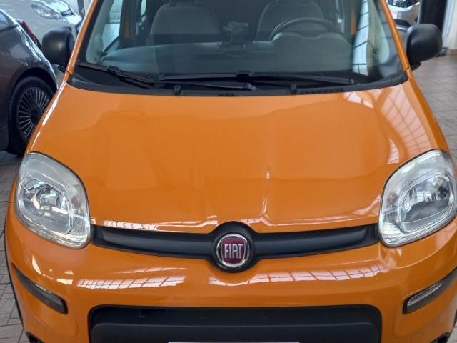 FIAT PANDA 1.0 FireFly S&S Hybrid City Life