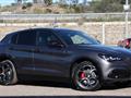 ALFA ROMEO STELVIO 2.2 Turbodiesel 160 CV AT8 RWD Veloce AUTOCARRO