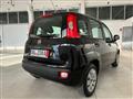 FIAT PANDA 1.2 Lounge 69CV Neopatentati Ok