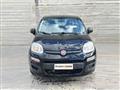 FIAT PANDA 1.3 MJT 95 CV S&S Easy