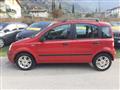 FIAT PANDA 1.2 Alessi Emotion - OK NEOPATENTATI -