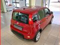 FIAT Panda 1.0 FireFly S&S Hybrid MY24 KM ZERO!!! IVATA NEOPATENTATI