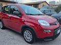 FIAT PANDA 1.0 HYBRID S&S 70 CV SENSORI PARK RADIO TOUCH BT