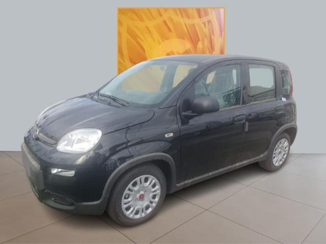 FIAT PANDA CROSS 1.0 Hybrid 70cv MY24