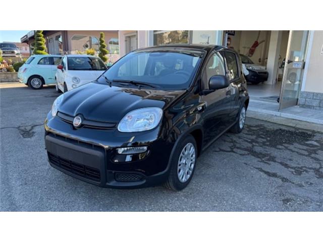 FIAT PANDA 1.0 FireFly S&S Hybrid Pandina