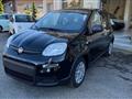 FIAT PANDA 1.0 FireFly S&S Hybrid Pandina