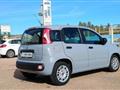 FIAT Panda 1.0 firefly hybrid s&s 70cv 5p.ti