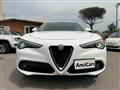 ALFA ROMEO STELVIO 2.2 Turbodiesel 210 CV AT8 Q4 Super