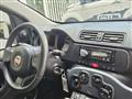 FIAT PANDA 1.0 FireFly S&S Hybrid da ?119,00 mensili