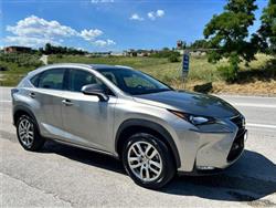 LEXUS NX Hybrid 4WD Executive