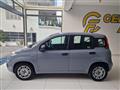 FIAT PANDA 1.2 Easy tua da ?99,00