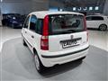 FIAT PANDA 1.4 Active Natural Power