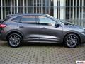 FORD KUGA 2.0 EcoBlue 120 CV aut. AWD ST-Line