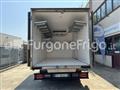 IVECO DAILY Coibentato Isotermico Frigorifero