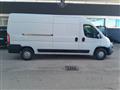 FIAT DUCATO 33 2.0 MJT PLM-TM Furgone