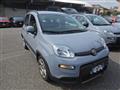 FIAT PANDA 1.0 FireFly S&S Hybrid City Life #VARI COLORI