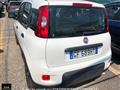 FIAT PANDA 1.2 EasyPower City Life