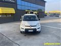 FIAT PANDA VAN 1.0 GSE S&S Hybrid Street Van 4 posti - N1 AUTOCAR