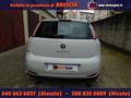 FIAT PUNTO 1.2 8V 5 porte Easy