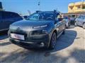 CITROEN C4 CACTUS BlueHDi 100 Shine