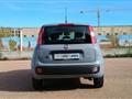 FIAT Panda 1.0 firefly hybrid s&s 70cv 5p.ti