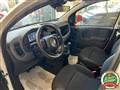 FIAT PANDA 1.0 Hybrid Pandina PREZZO REALE