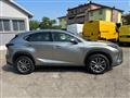 LEXUS NX Hybrid 4WD Premium