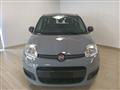 FIAT PANDA 3ª serie 1.0 FireFly S&S Hybrid