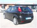 FIAT PUNTO 1.2 5 porte Active