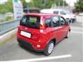 FIAT PANDA FIAT PANDA