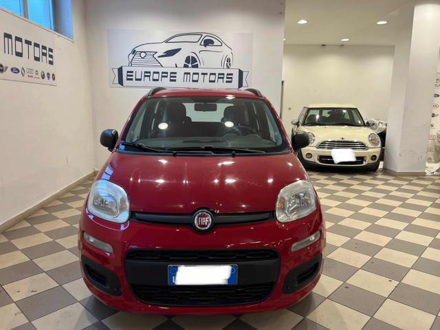 FIAT PANDA 1.2 EasyPower Easy#TAGLIANDI UFFICIALI FIAT#NEOPAT