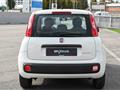 FIAT PANDA 1.0 FireFly S&S Hybrid 5 P.TI