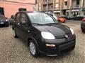 FIAT PANDA 1.0 FireFly S&S Hybrid Pandina