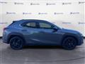 LEXUS UX Hybrid 4WD Midnight