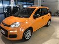 FIAT PANDA 1.0 FireFly S&S Hybrid NEOPATENTATI