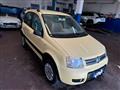 FIAT PANDA RECANATI - NEOPATENTATI - 1.2 4x4 Climbing