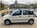 FIAT PANDA 1.3 MJT 16V DPF Dynamic