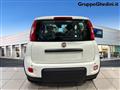 FIAT PANDA 1.0 FireFly S&S Hybrid Pandina