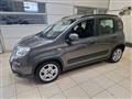 FIAT PANDA 3ª serie 1.0 FireFly S&S Mild - Hybrid City Life