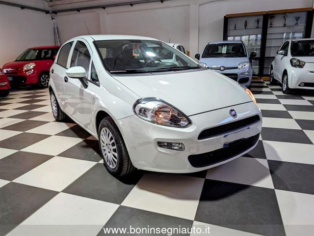 FIAT PUNTO 1.2 8V 5 porte Street