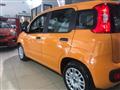 FIAT PANDA 1.0 FireFly S&S Hybrid NEOPATENTATI