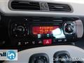 FIAT PANDA 1.2 69cv Lounge GPL