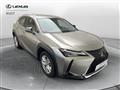 LEXUS UX Hybrid Business