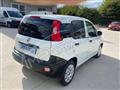 FIAT Panda PANDA 1.2 69CV EURO 6DT POP VAN AUTOCARRO Panda 1.2 EasyPower Lounge