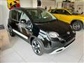 FIAT PANDA 1.0 FireFly S&S Hybrid Pandina