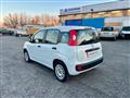 FIAT PANDA 1.2 Easy+NEOPATENTATI+SOLO 66000 KM